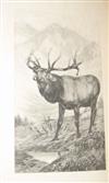 ROOSEVELT, THEODORE; et al. The Deer Family.